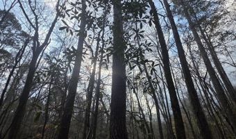 U.S. Highway 51, Bogue Chitto, MS 39629