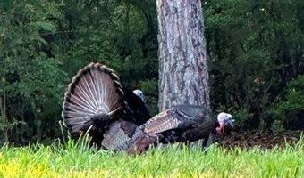 35 Prayer Trl, Aragon, GA 30104