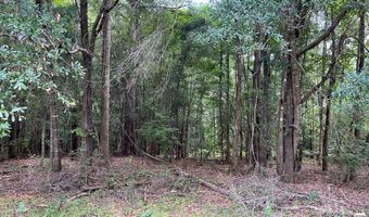 TBD County Road 40, Abbeville, AL 36310