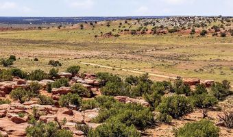 105 County Road N9328, Concho, AZ 85924