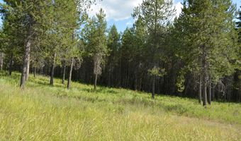 Nka N SYLVAN ROAD ROAD, Athol, ID 83801