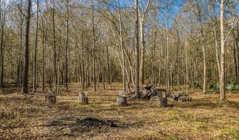 5280 Whitaker Way, Anderson, TX 77830