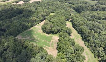 Hwy 1591, Bardwell, KY 42023