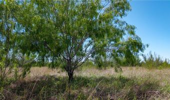 Fm-735, Alice, TX 78332