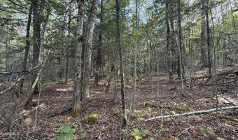 LOT 1B HOPKINS Ln, Becket, MA 01223