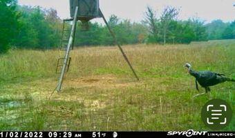 LAKE OZZIE COBB 102-B, Antlers, OK 74523