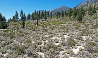 Kingsbury Grade, Gardnerville, NV 89460