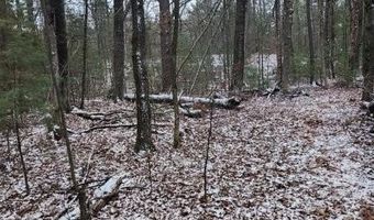 19 Th Pass Lot 19, Arkdale, WI 54613