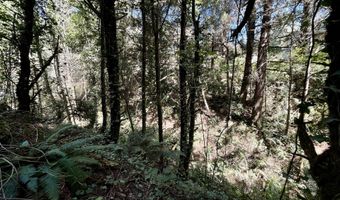 95629 CAPE FERRELO Rd, Brookings, OR 97415