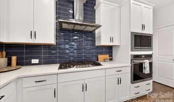 3125 Ada Mill Aly, Charlotte, NC 28205