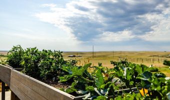 555 Trabing Rd, Buffalo, WY 82834