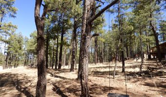 8 B County Road 2267 Escudilla Rd, Alpine, AZ 85920