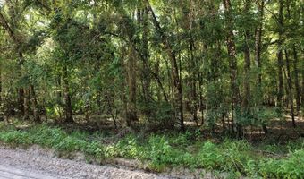 000 73rd Way, Bell, FL 32619