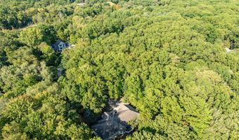 1290 Cramton Ave NE, Ada, MI 49301