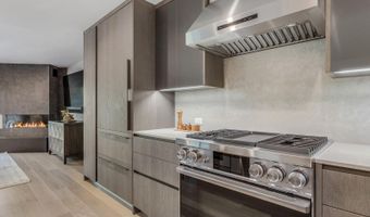 650 S Monarch St 7, Aspen, CO 81611