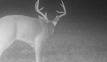 0 Hwy 14, Aliceville, AL 35442