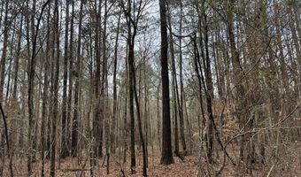 920 A Auburn Dr, Bogue Chitto, MS 39629