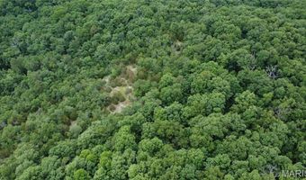 13 Hidden Vly Lks, Annapolis, MO 63620