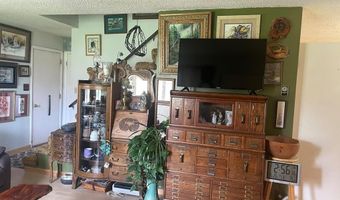 24707 Hwy 93, Challis, ID 83226