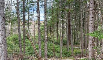 Atwood Road lot 4, Brighton, VT 05846
