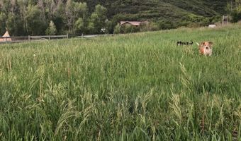 360 W Sopris Creek Rd, Basalt, CO 81621