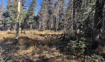 Rainbow Overlook lot 1227, Angel Fire, NM 87710