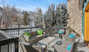990 E Hopkins Ave, Aspen, CO 81611