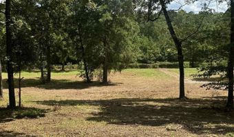 12161 Ridgeview Lp, Andalusia, AL 36421
