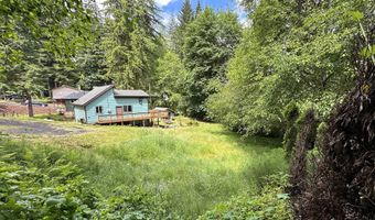 71529 FISHHAWK Rd, Birkenfeld, OR 97016