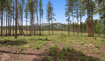 28 WHITE CLOUD Dr, Breckenridge, CO 80424