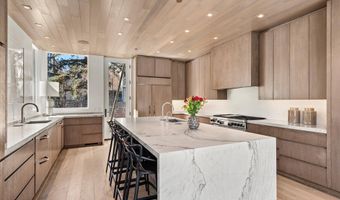 219 N Monarch St, Aspen, CO 81611