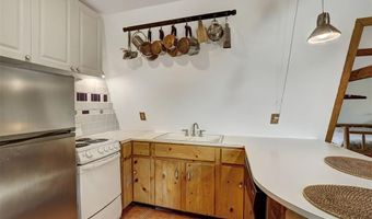 1155 COUNTY ROAD 6, Alma, CO 80420