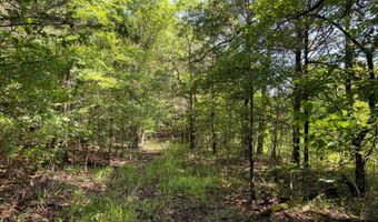 796 Blue Branch Rd, Bennington, OK 74723