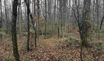 67 Old Wire Rd, Atkins, AR 72823
