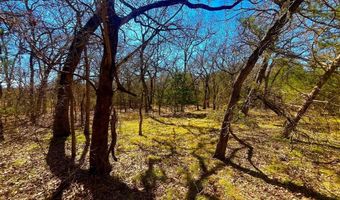 Tbd 13.7+/- Acres County Road 2560, Alvord, TX 76225