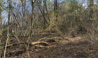 5288 Hwy 75, Albertville, AL 35950