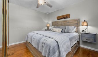 447 COUNTY ROAD 4028, Arley, AL 35541