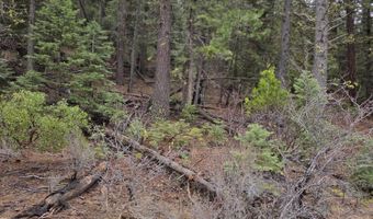 E Yak / Hwy 140 Lane lot 1, Bonanza, OR 97623