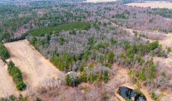 Dover Drive lot 2 +/-43 Ac, Adams, WI 53910