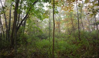 0 Midline Rd, Amsterdam, NY 12010