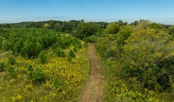 20 Ac State Hwy 95 Columbia Rd, Abbeville, AL 36310