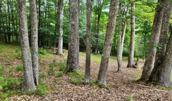 88 Cherry Ln, Arbovale, WV 24915