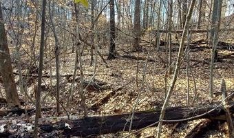 TBD Bassett Heights Ext, Bassett, VA 24055