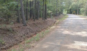 334 SERENITY Ln Lot 1, Alpine, AL 35014