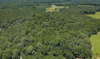 6925 Cobbham Rd, Appling, GA 30802