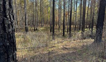 Hwy 9, Bruce, MS 38915