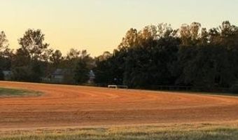 20 Th St, Bell, FL 32619