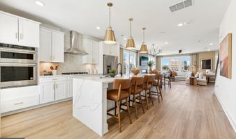 43763 ORCHID DOVE Ter, Ashburn, VA 20147