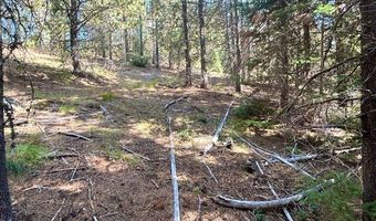 Tbd Sawtooth Loop, Cascade, ID 83611