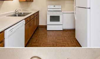 151 S Pearl St, Albany, NY 12202
